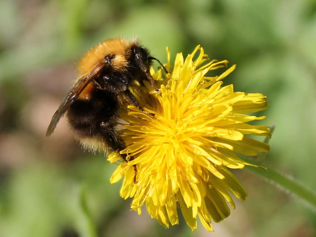 ... ����� ������� ������� �� PhotoGeek.ru #�����