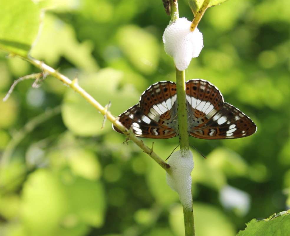 ... ����� ������� ������� �� PhotoGeek.ru #�����