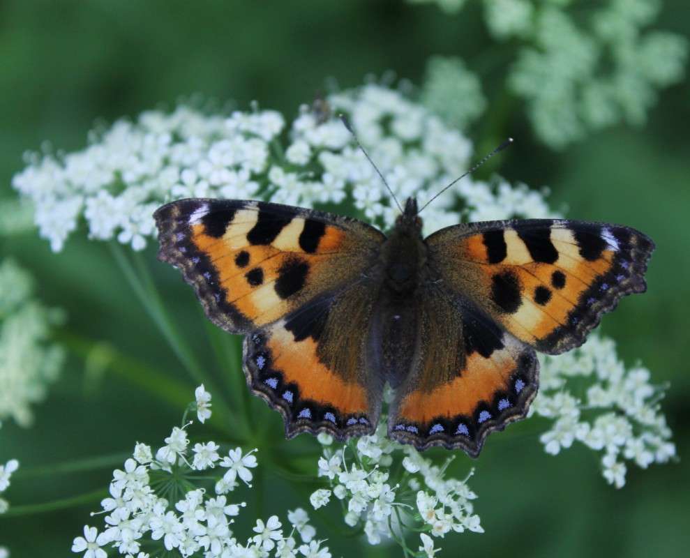 ... ����� ������� ������� �� PhotoGeek.ru #�����