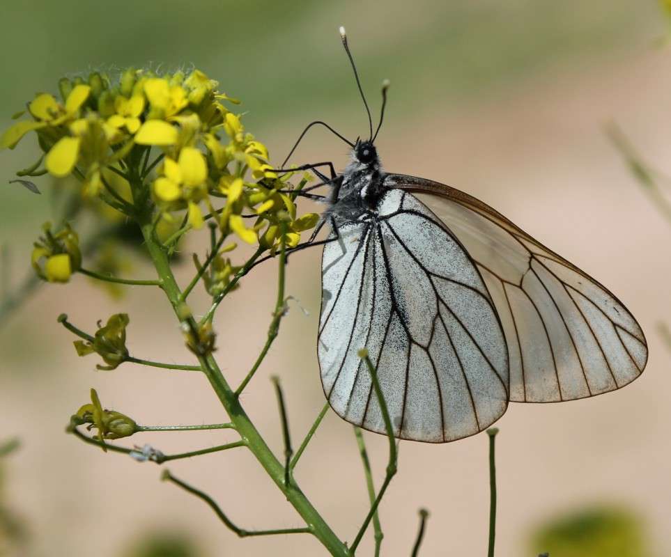 ... ����� ������� ������� �� PhotoGeek.ru #�����