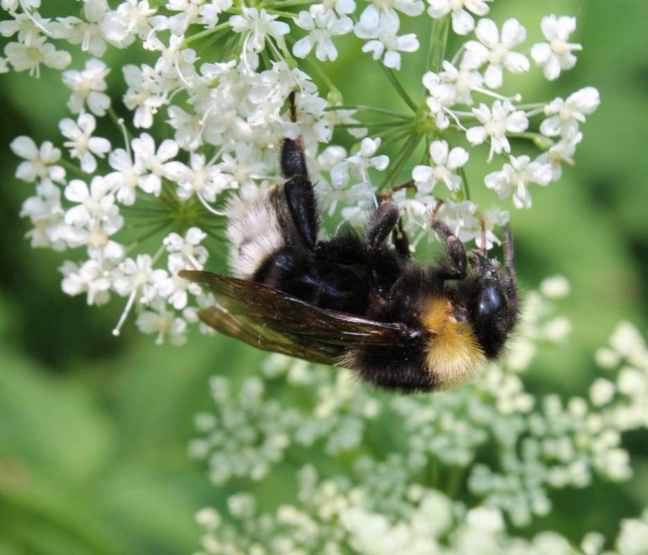 ... ����� ������� ������� �� PhotoGeek.ru #�����