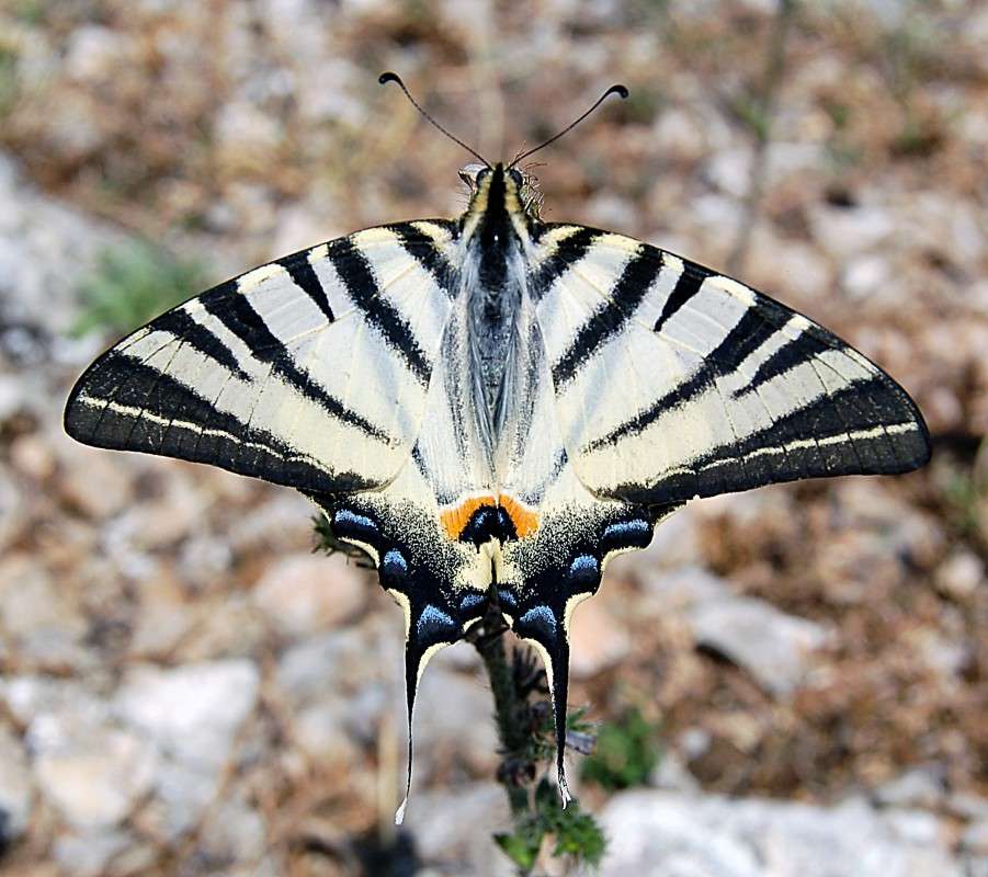 ... ����� ������� ������� �� PhotoGeek.ru #�����