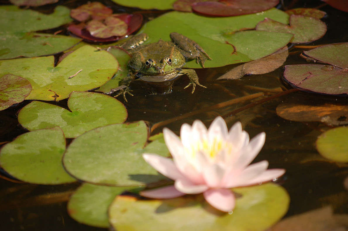 ... ����� ������� ������� �� PhotoGeek.ru #�������� ���