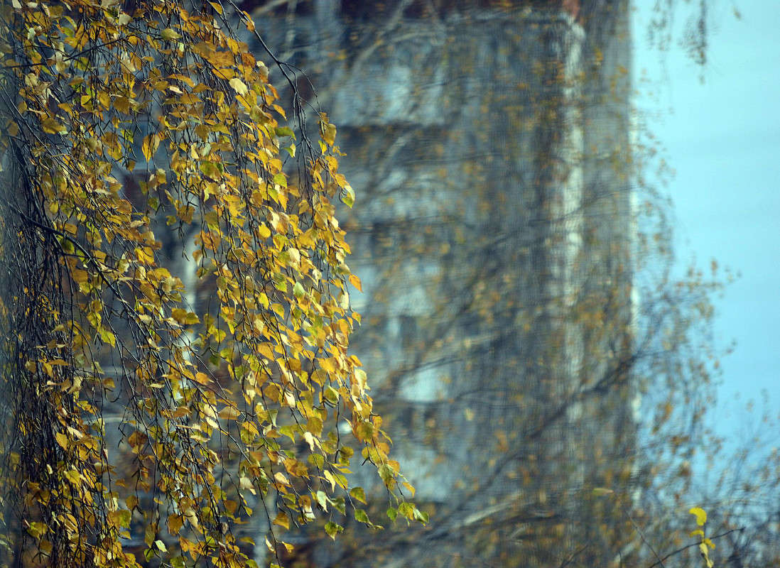 �� ����� ����� ����� ������� ������� �� PhotoGeek.ru #�����