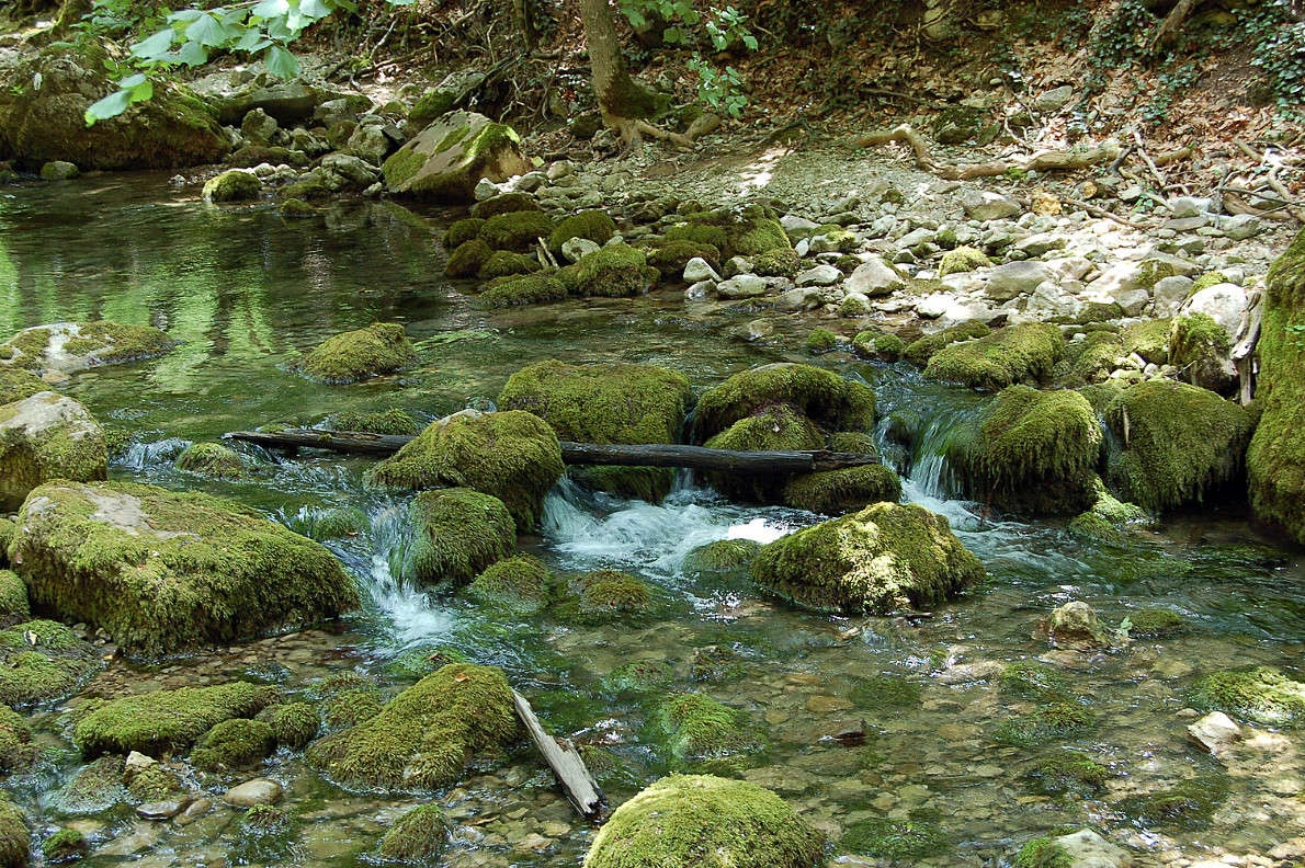 ... ����� ������� ������� �� PhotoGeek.ru #������ ��� �������