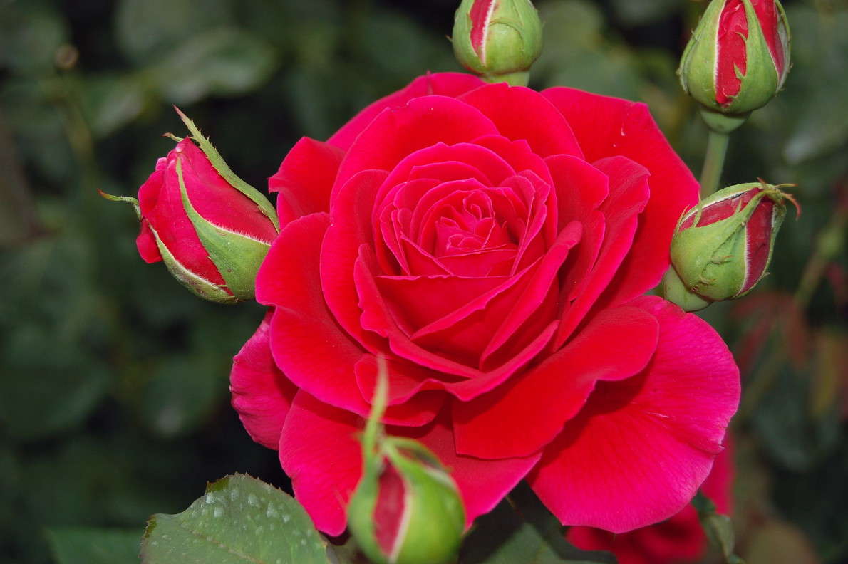 ... ����� ������� ������� �� PhotoGeek.ru #������ ��� ������� #����� ��������������