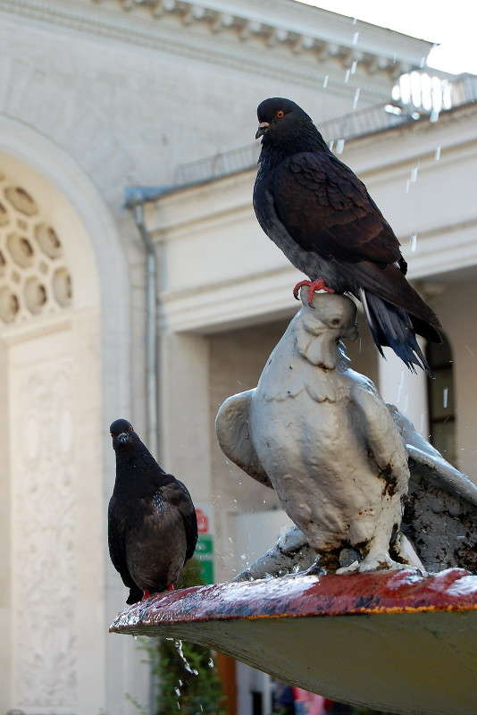 �� ����� �������. ������, ��� �������! ����� ������� ������� �� PhotoGeek.ru #�������� ���