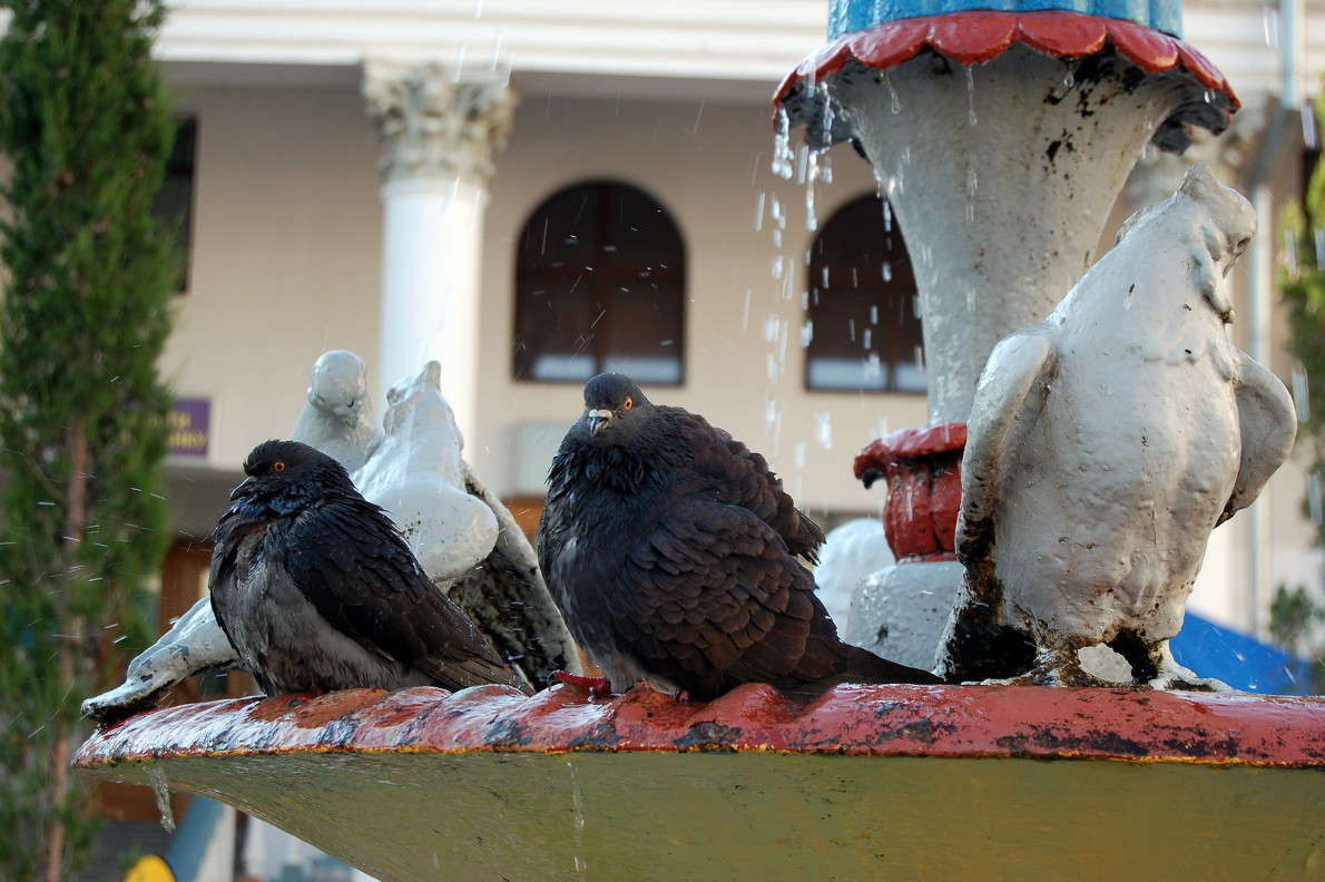 �� ����� �������. ������ ��������� ����� ������� ������� �� PhotoGeek.ru #�������� ���