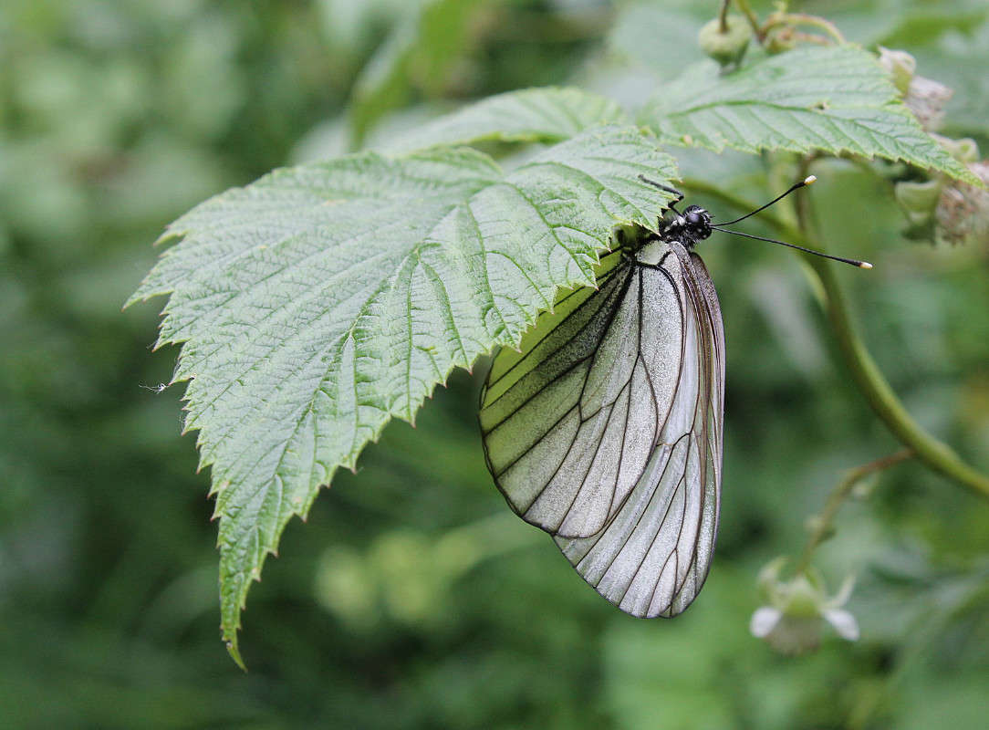 � ����� ��� ����������? ����� ������� ������� �� PhotoGeek.ru #�����