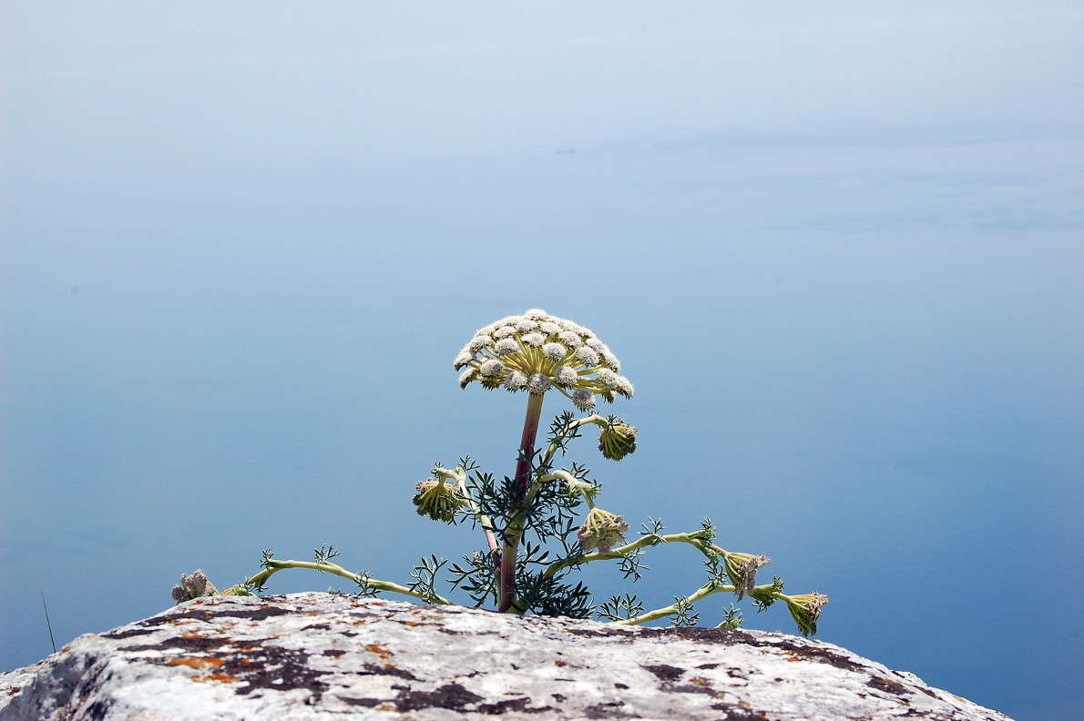 ����� ������, ����� � ����� ����� ������� ������� �� PhotoGeek.ru #��������