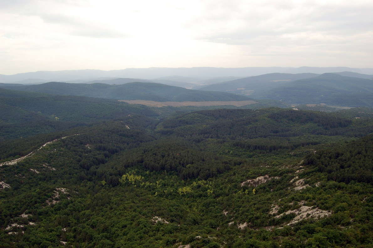 ��� ��� ���� ����� ������� ������� �� PhotoGeek.ru #������ ��� �������