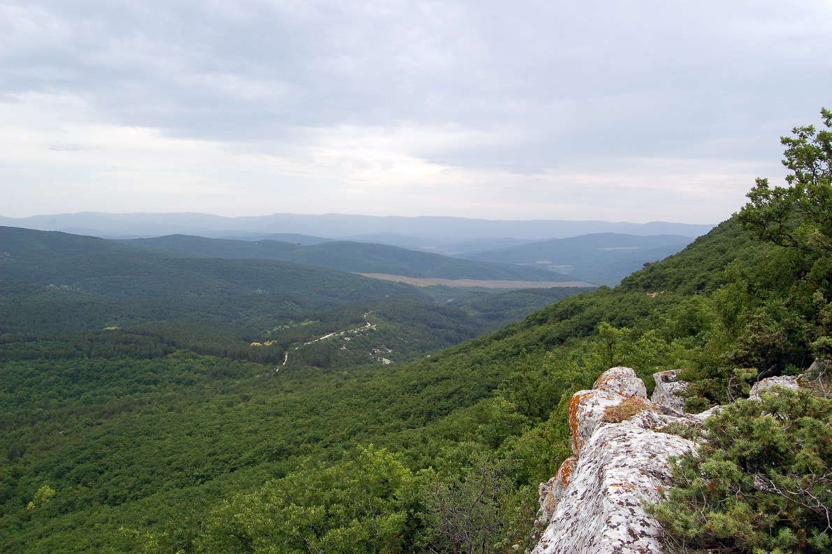 ��� ��� ���� ����� ������� ������� �� PhotoGeek.ru #������ ��� �������