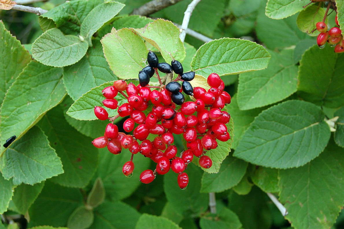 ... ����� ������� ������� �� PhotoGeek.ru #������ ��� ������� #����� ��������������