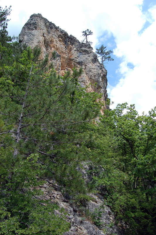 ��� ��� ���� ����� ������� ������� �� PhotoGeek.ru #������ ��� �������