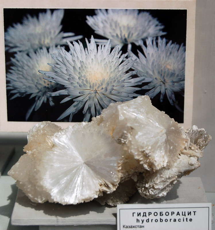 ����� �����-���������� ����� ������� ������� �� PhotoGeek.ru #��������