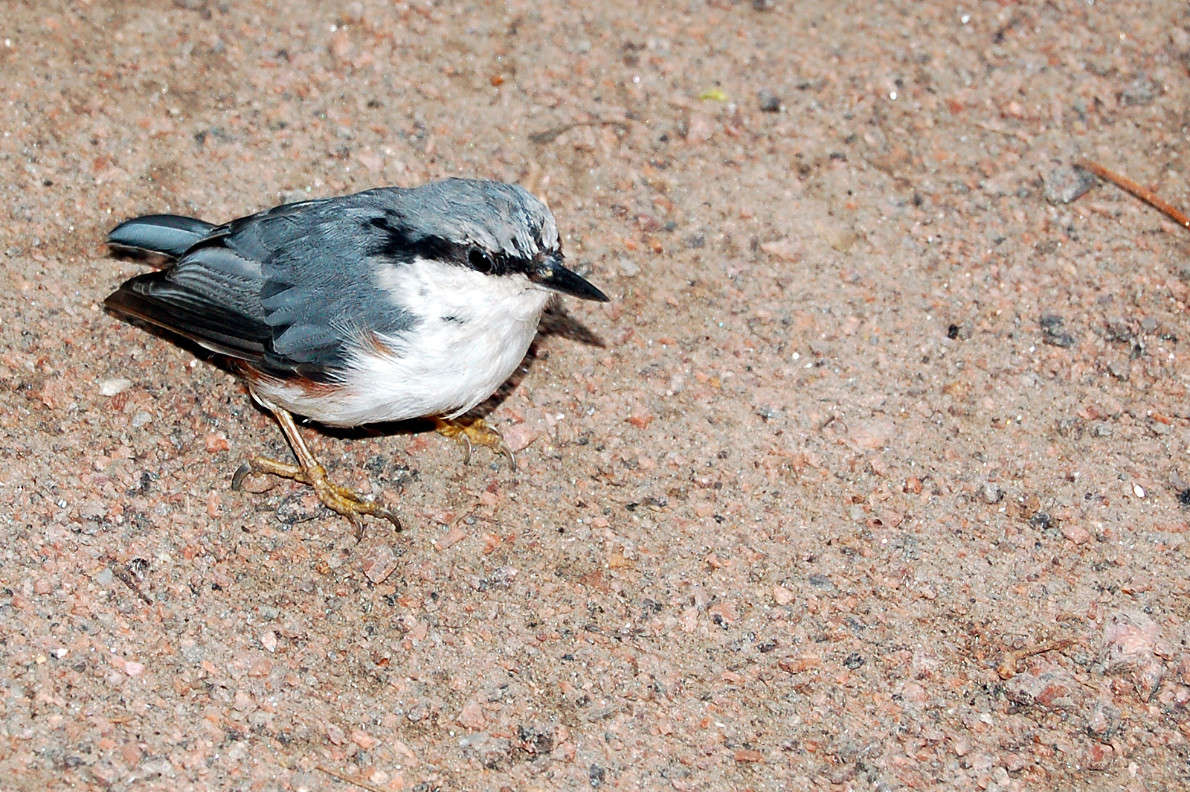 ... ����� ������� ������� �� PhotoGeek.ru #�������� ���