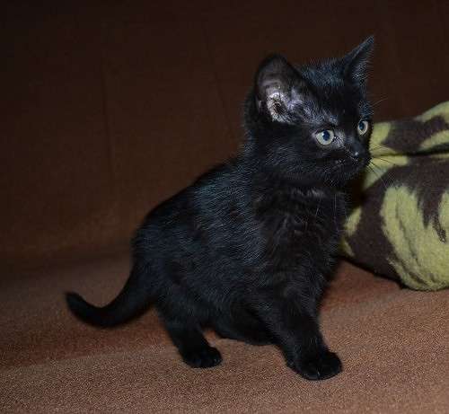 ��� ����� ����� ����  �� PhotoGeek.ru #�������� ���