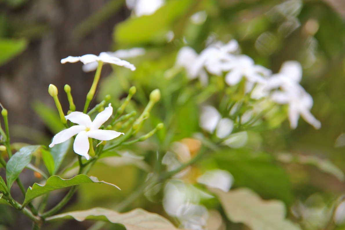 ... ����� Natalia Maximova �� PhotoGeek.ru #������ ��� �������