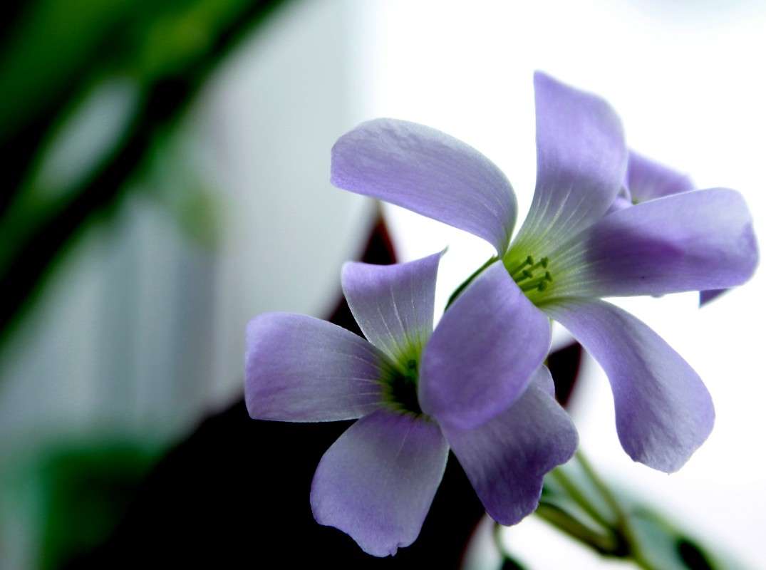 ������� ����� ���� �� �� PhotoGeek.ru #������ ��� �������