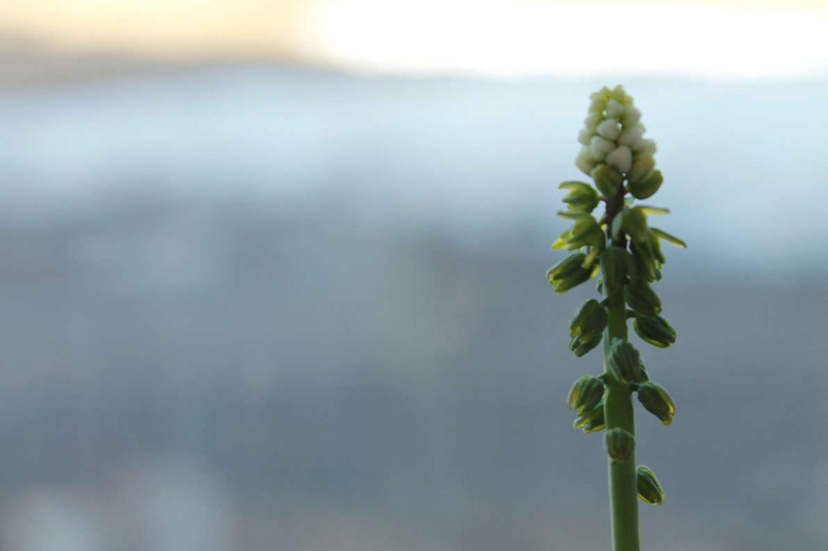 ... ����� ���� �� �� PhotoGeek.ru #������ ��� �������