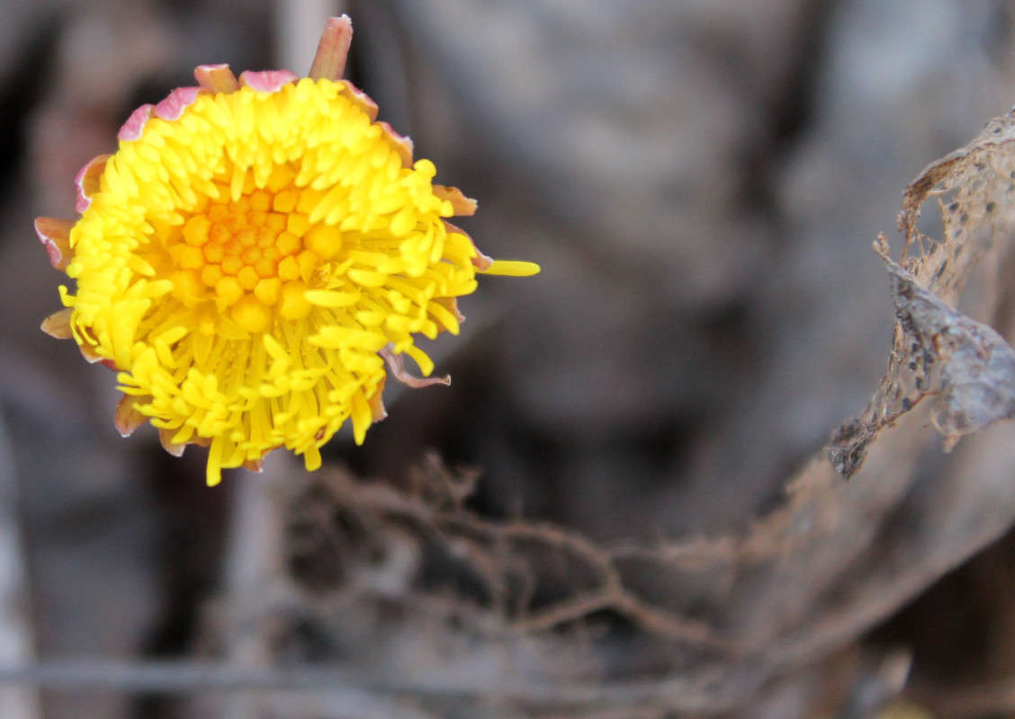 ... ����� ���� �� �� PhotoGeek.ru #������ ��� ������� #����� ��������������