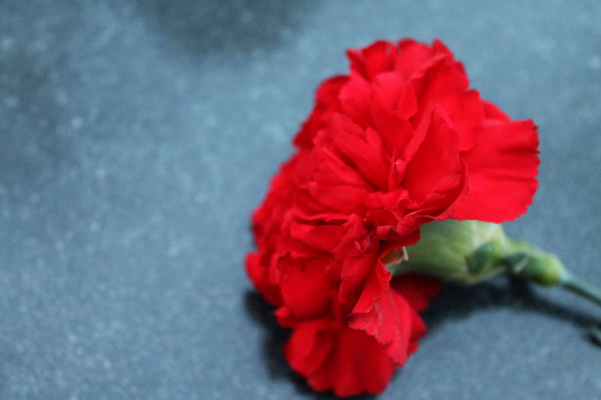 ... ����� ���� �� �� PhotoGeek.ru #������ ��� �������