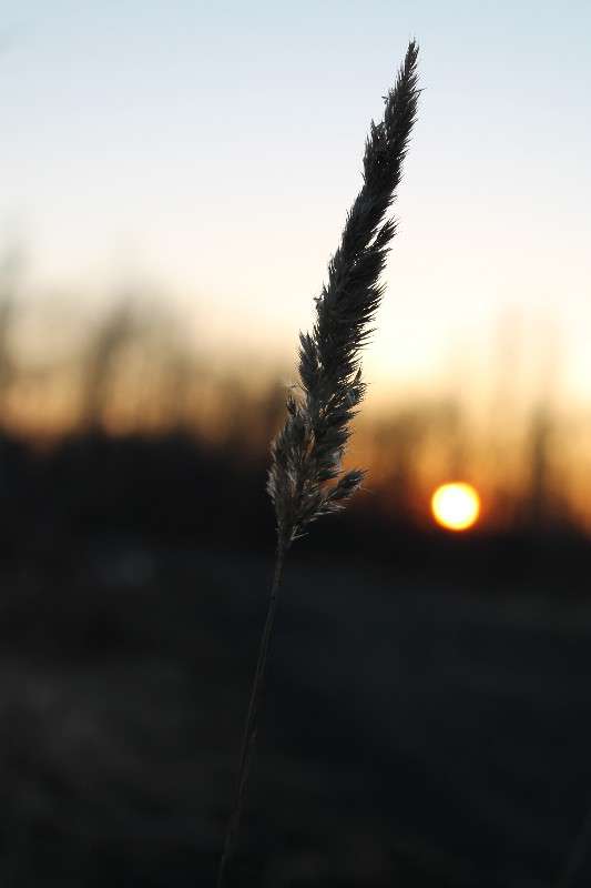 ... ����� ���� �� �� PhotoGeek.ru #������ ��� ������� #����� ��������������