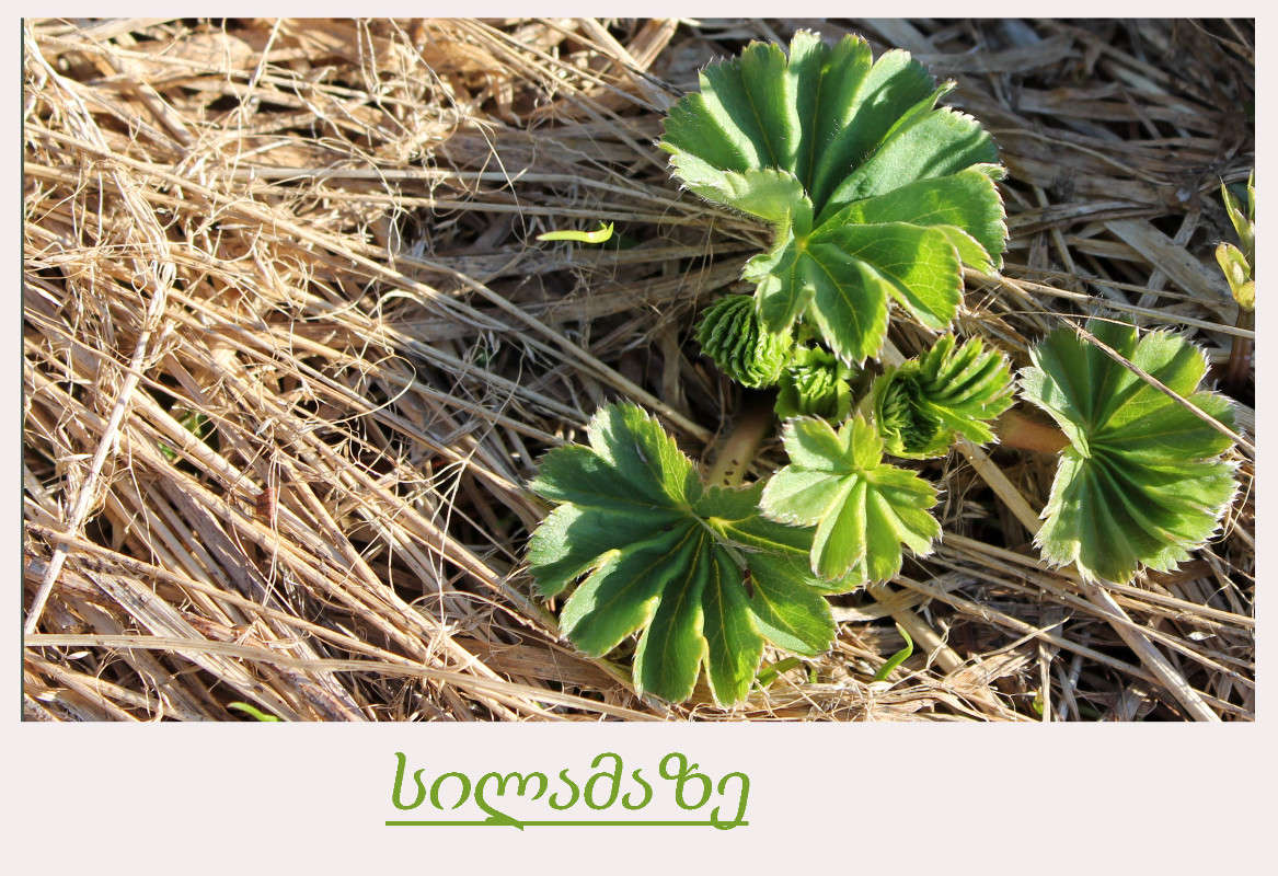 ... ����� ���� �� �� PhotoGeek.ru #������ ��� ������� #�������� ����������