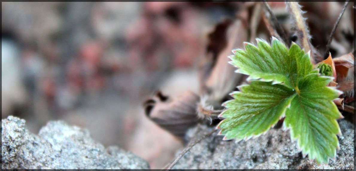 ... ����� ���� �� �� PhotoGeek.ru #������ ��� �������