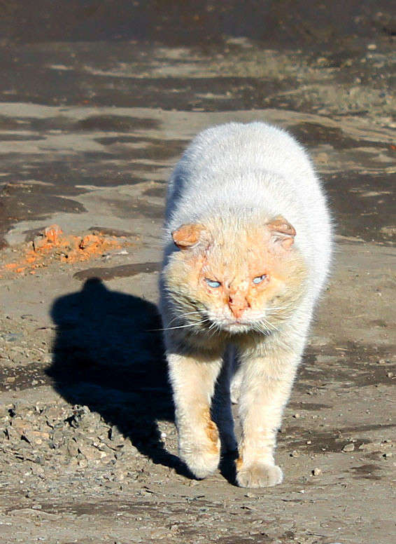 ����... ����� ���� �� �� PhotoGeek.ru #�������� ���