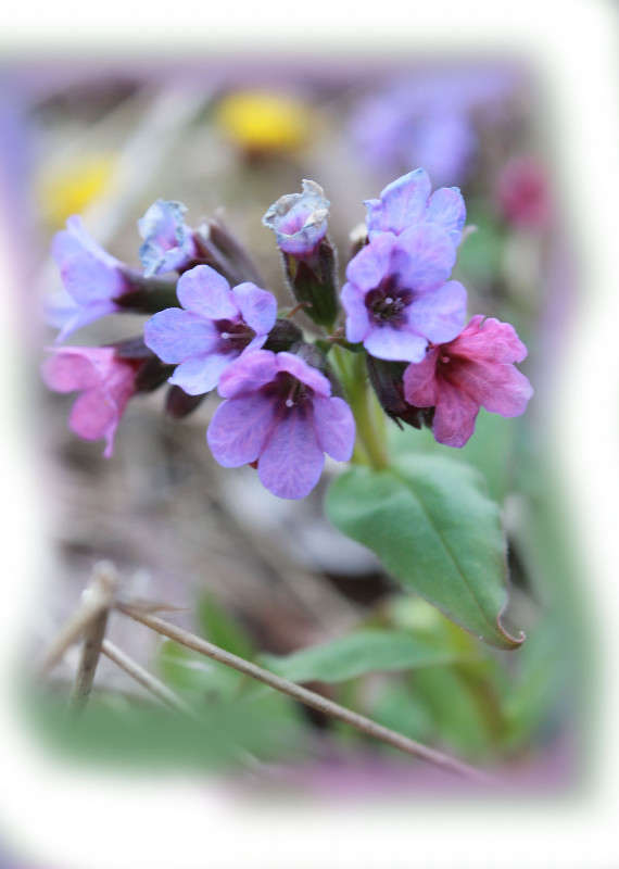 ... ����� ���� �� �� PhotoGeek.ru #������ ��� �������