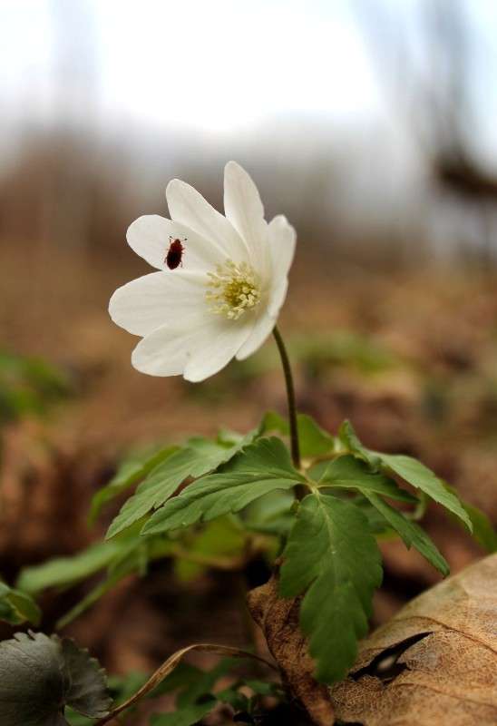 ����� ������ ����� ���� �� �� PhotoGeek.ru #������ ��� �������