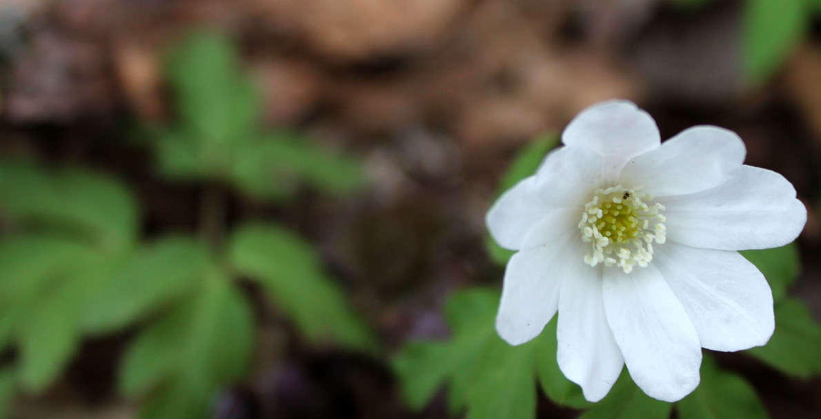 ... ����� ���� �� �� PhotoGeek.ru #������ ��� �������