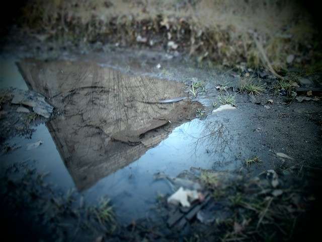 ���� ����� ���� �� �� PhotoGeek.ru #�����������