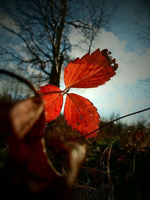 ��������.. ����� ���� �� �� PhotoGeek.ru #������ ��� �������