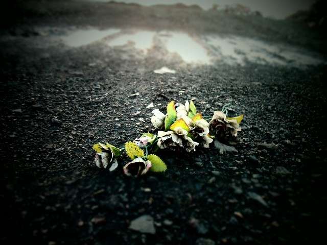 ����........... ����� ���� �� �� PhotoGeek.ru #������ ��� �������