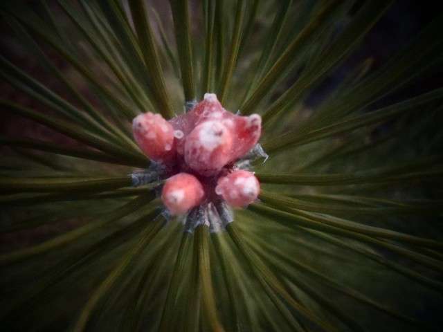 **** ����� ���� �� �� PhotoGeek.ru #������ ��� ������� #����� ��������������