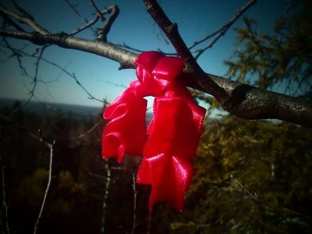 ���������� �������" ����� ���� �� �� PhotoGeek.ru #������ ��� ������� #������