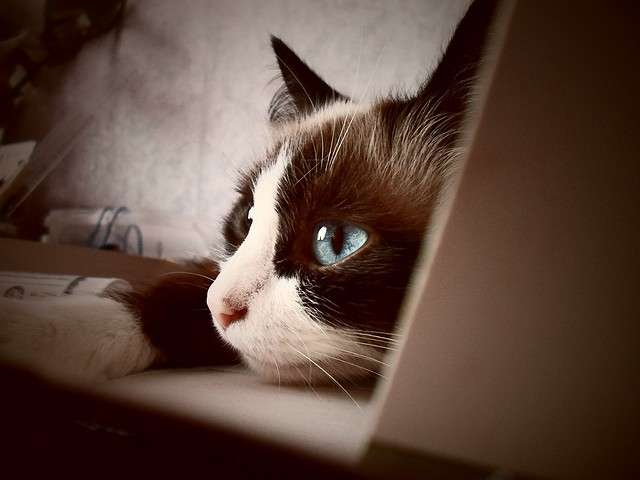 ������� ����� ���� �� �� PhotoGeek.ru #�������