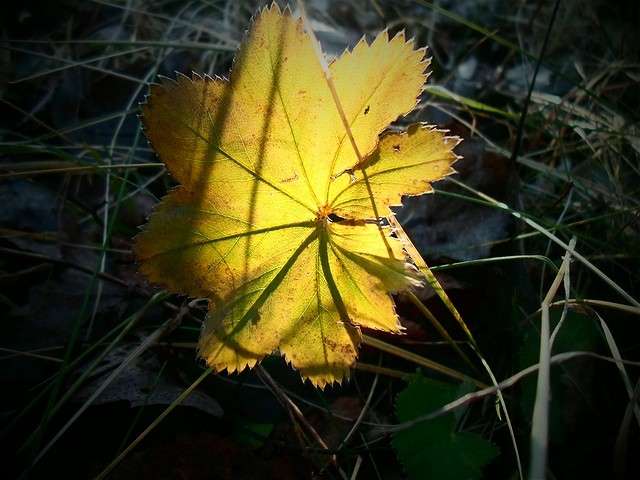 *** ����� ���� �� �� PhotoGeek.ru #������ ��� �������