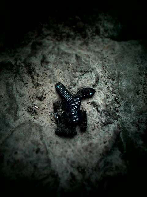 "Viva" ����� ���� �� �� PhotoGeek.ru #���������� #�����-�����