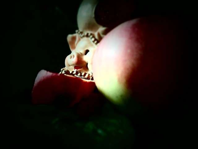 ������ ����� ���� �� �� PhotoGeek.ru #���������