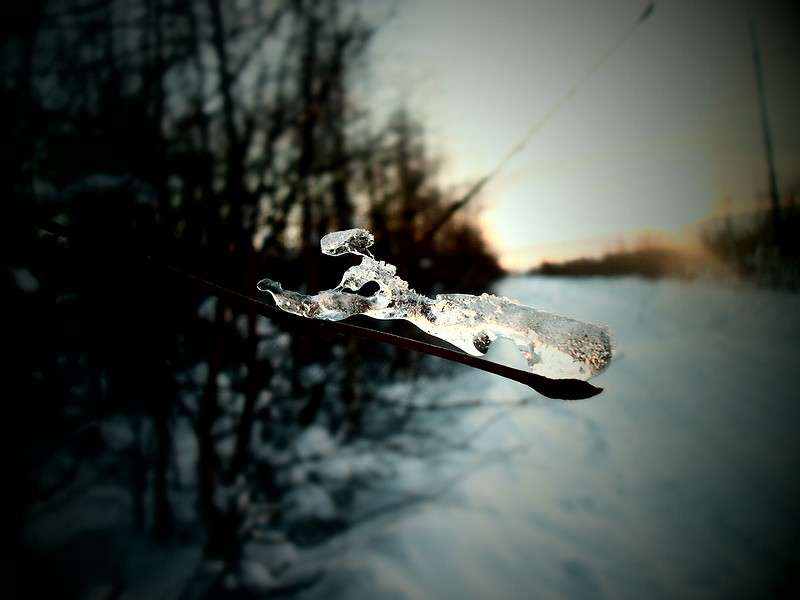 "�������" ����� ���� �� �� PhotoGeek.ru #������ ��� �������