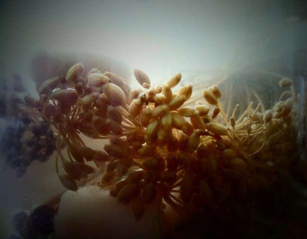 *** ����� ���� �� �� PhotoGeek.ru #���������