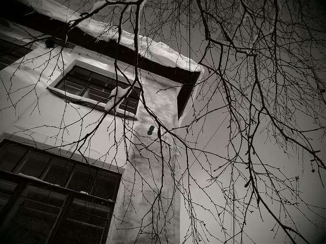 ���� ����� ���� �� �� PhotoGeek.ru #�����-�����