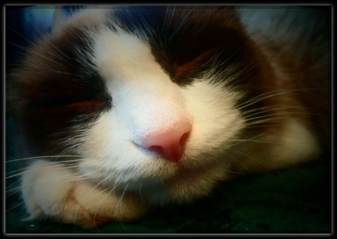 ����.* ����� ���� �� �� PhotoGeek.ru #�������� ��� #�������� ���