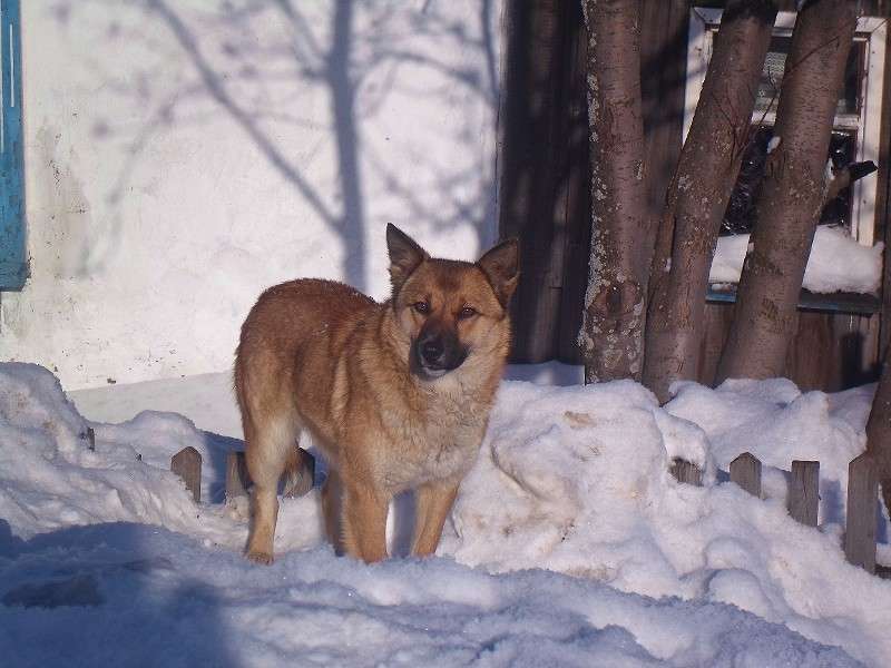 ������� ����� ���� �� �� PhotoGeek.ru #�������� ��� #�������� ���