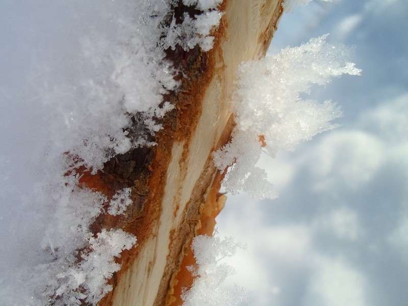 �� � ��� ����� ���� �� �� PhotoGeek.ru #�������� ���