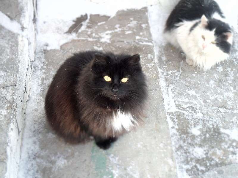 ����� ����� ���� �� �� PhotoGeek.ru #�������� ��� #�������� ���