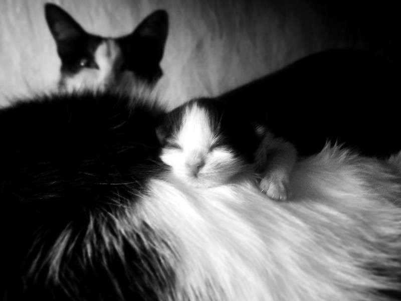 ... ����� ���� �� �� PhotoGeek.ru #�������� ��� #�������� ��� #�����-�����